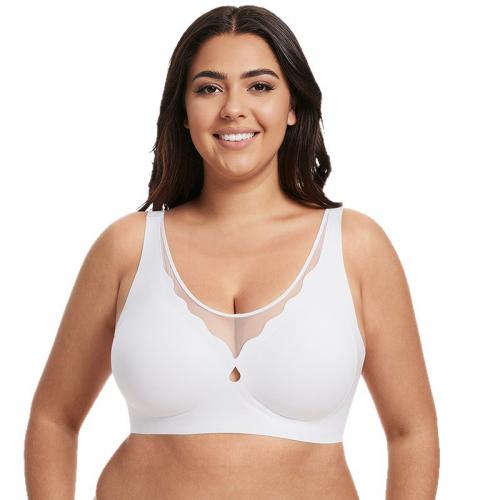 Plus Size Seamless Full Cup Bra with Sexy Mesh Neckline B2638